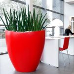 Как подобрать растение под настроение в офисе